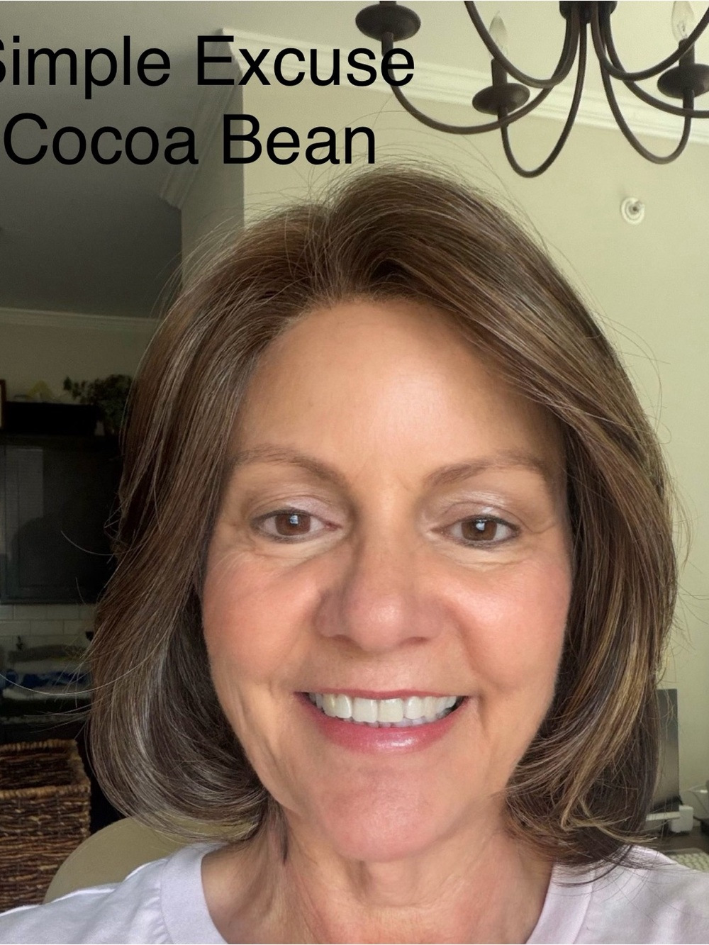 Styles by Soma, Simple Excuse in Cocoa Bean Women's Lace Front Mono Part